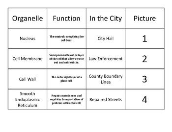 cell city comparison chart.